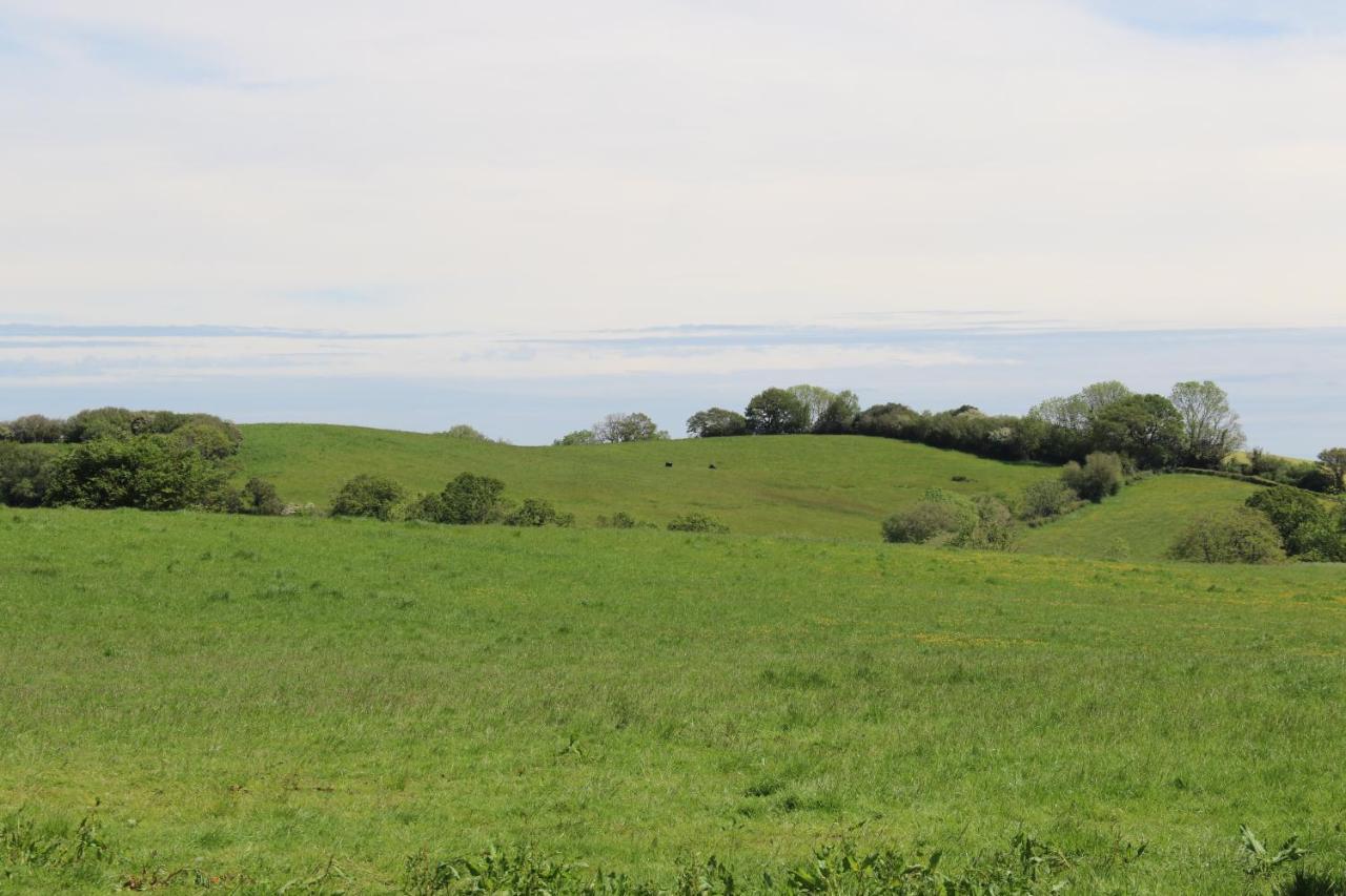 Knapp Farm Glamping Lodge 1 Corscombe المظهر الخارجي الصورة